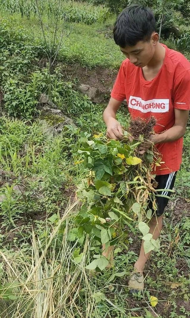 四川凉山彝族小伙考上北大 甘洛建县以来第一人（2023四川彝族小伙考上北大）