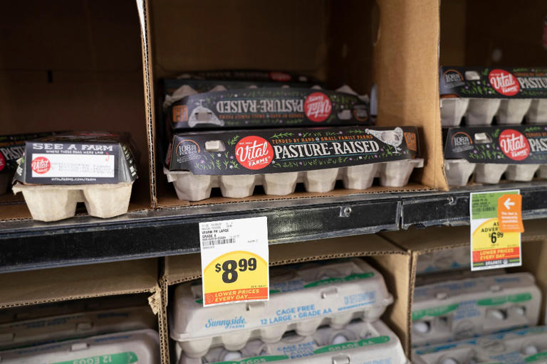 鸡蛋价涨不停，美国居民表示还不如自己养鸡？