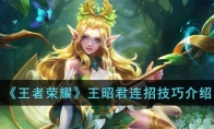 《王者荣耀》攻略——王昭君连招技巧解析